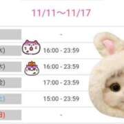 ヒメ日記 2025/11/11 13:12 投稿 ナナセ 黄金の口 本店