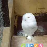 ヒメ日記 2025/11/21 16:57 投稿 ナナセ 黄金の口 本店