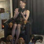 ヒメ日記 2025/11/29 12:27 投稿 ナナセ 黄金の口 本店