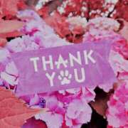 ヒメ日記 2025/12/05 21:56 投稿 ナナセ 黄金の口 本店