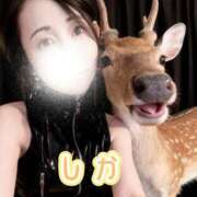 ヒメ日記 2026/01/04 12:33 投稿 ナナセ 黄金の口 本店