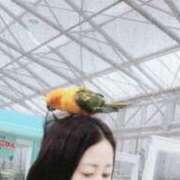 ヒメ日記 2026/01/28 10:24 投稿 ナナセ 黄金の口 本店