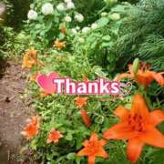 ヒメ日記 2026/02/15 14:47 投稿 ナナセ 黄金の口 本店