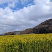 ヒメ日記 2026/02/18 17:14 投稿 ナナセ 黄金の口 本店