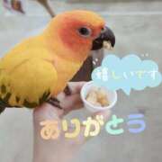 ヒメ日記 2026/03/04 22:05 投稿 ナナセ 黄金の口 本店