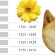 ヒメ日記 2026/03/09 12:33 投稿 ナナセ 黄金の口 本店