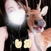 ヒメ日記 2026/03/11 21:35 投稿 ナナセ 黄金の口 本店