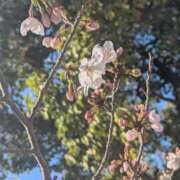 ヒメ日記 2026/03/19 17:18 投稿 ナナセ 黄金の口 本店