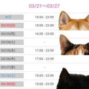 ヒメ日記 2026/03/21 13:25 投稿 ナナセ 黄金の口 本店