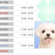 ヒメ日記 2026/04/17 16:05 投稿 ナナセ 黄金の口 本店