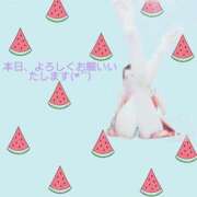 ヒメ日記 2026/05/13 09:59 投稿 ナナセ 黄金の口 本店