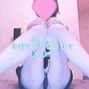 ヒメ日記 2026/06/15 01:45 投稿 ナナセ 黄金の口 本店