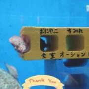 ヒメ日記 2026/07/05 15:05 投稿 ナナセ 黄金の口 本店