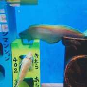 ヒメ日記 2026/07/20 17:15 投稿 ナナセ 黄金の口 本店