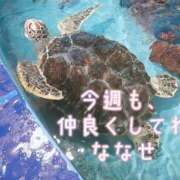 ヒメ日記 2026/08/03 12:35 投稿 ナナセ 黄金の口 本店