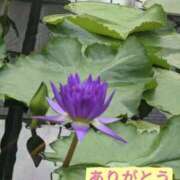 ヒメ日記 2026/08/05 21:25 投稿 ナナセ 黄金の口 本店