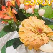 ヒメ日記 2026/08/08 15:15 投稿 ナナセ 黄金の口 本店