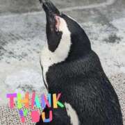 ヒメ日記 2026/08/13 10:49 投稿 ナナセ 黄金の口 本店