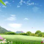 ヒメ日記 2025/04/10 11:10 投稿 あん 和風パブ大江戸