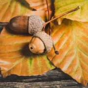 あん 約2ヶ月ぶりの復帰です🥰❤️ 和風パブ大江戸