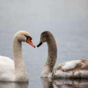あん 今週の予定です💗 和風パブ大江戸