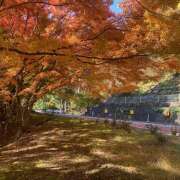 ちはる 檜原街道 和風パブ大江戸