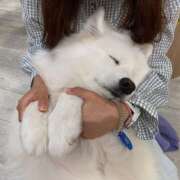 ちはる 昨日と 和風パブ大江戸