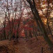 ちはる 頑張りました💯 和風パブ大江戸