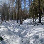 ヒメ日記 2026/02/28 10:01 投稿 ちはる 和風パブ大江戸