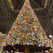 ヒメ日記 2025/11/24 16:13 投稿 美沙(みさ) 厚木奥様Life