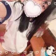 ヒメ日記 2025/10/25 07:59 投稿 ふわり エデンR