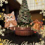 ヒメ日記 2024/12/22 20:59 投稿 愛川　あい トランス＠クリニック東京　新宿～出張　前立腺トリートメント