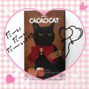 ヒメ日記 2025/02/21 22:45 投稿 愛川　あい トランス＠クリニック東京　新宿～出張　前立腺トリートメント