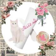 ヒメ日記 2025/04/22 20:02 投稿 愛川　あい トランス＠クリニック東京　新宿～出張　前立腺トリートメント