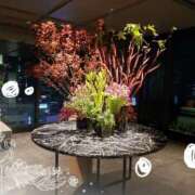 ヒメ日記 2025/09/09 22:15 投稿 愛川　あい トランス＠クリニック東京　新宿～出張　前立腺トリートメント