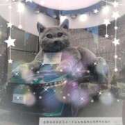 ヒメ日記 2025/11/20 18:00 投稿 愛川　あい トランス＠クリニック東京　新宿～出張　前立腺トリートメント