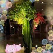 愛川　あい 試してみて😌 トランス＠クリニック東京　新宿～出張　前立腺トリートメント