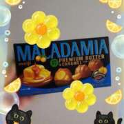 ヒメ日記 2026/02/16 22:16 投稿 愛川　あい トランス＠クリニック東京　新宿～出張　前立腺トリートメント