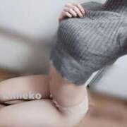 ヒメ日記 2025/09/23 12:01 投稿 ひめこ 世界のあんぷり亭 日暮里店