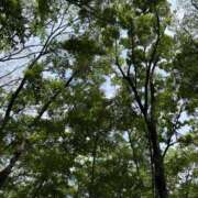 ヒメ日記 2025/06/09 12:00 投稿 みらい 松本人妻隊