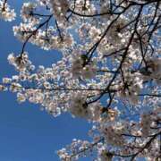 ヒメ日記 2026/04/01 08:00 投稿 みらい 松本人妻隊