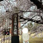 ヒメ日記 2026/04/10 08:00 投稿 みらい 松本人妻隊