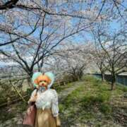 ヒメ日記 2026/04/21 08:00 投稿 みらい 松本人妻隊
