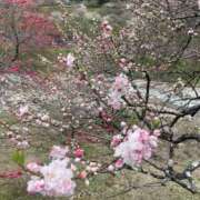 ヒメ日記 2025/04/25 18:50 投稿 ゆりこ 松本人妻隊