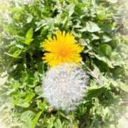 ヒメ日記 2025/05/16 13:27 投稿 ゆりこ 松本人妻隊