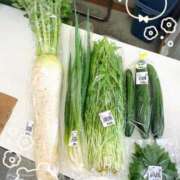 ヒメ日記 2025/06/22 09:11 投稿 ゆりこ 松本人妻隊