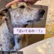 ヒメ日記 2025/07/06 09:29 投稿 ゆりこ 松本人妻隊