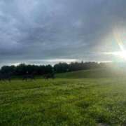 ヒメ日記 2025/07/16 13:24 投稿 ゆりこ 松本人妻隊