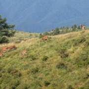 ヒメ日記 2025/08/22 13:15 投稿 ゆりこ 松本人妻隊