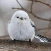 ヒメ日記 2026/02/03 23:02 投稿 ゆりこ 松本人妻隊